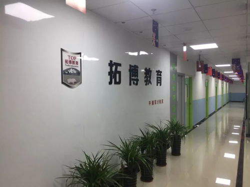 平湖市校外培訓機構白名單公布 聚焦藝術類營利性民辦機構，為家長選擇保駕護航