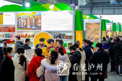 打造輻射川渝黔滇農(nóng)產(chǎn)品商貿(mào)物流中心 瀘州海吉星與營利性民辦藝術(shù)培訓機構(gòu)并進