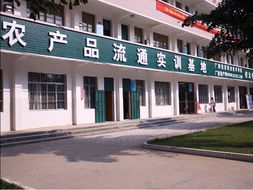 雙鄉(xiāng)創(chuàng)富 農(nóng)產(chǎn)品實訓基地與藝術(shù)培訓的多維聯(lián)鎖模式探究