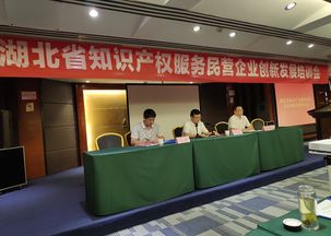 鄂西知識產權服務民營企業創新發展培訓會成功在十堰舉辦